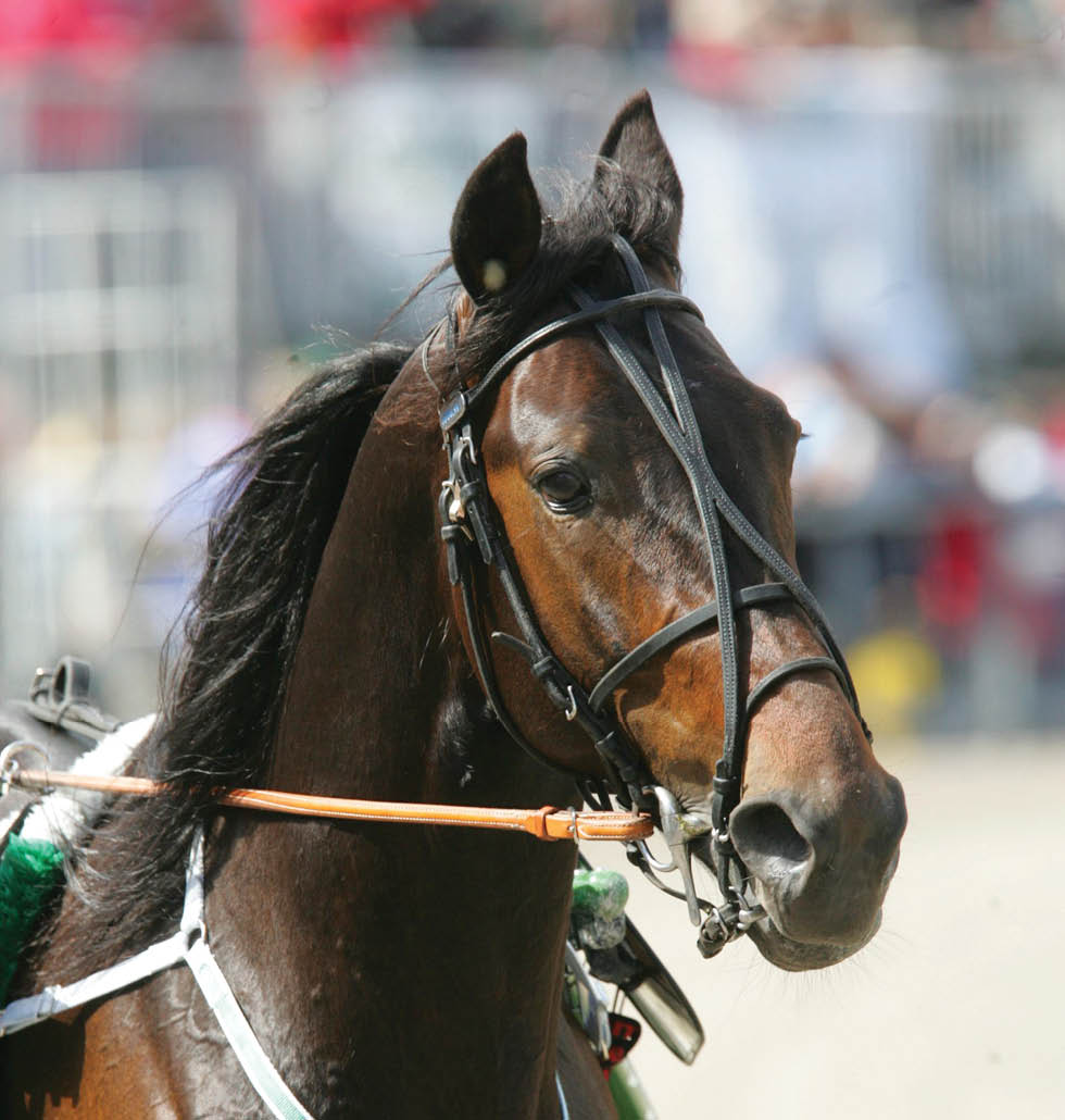 Foto: Mia T rnberg/Ronden Solvalla 20060528 Conny Nobell
