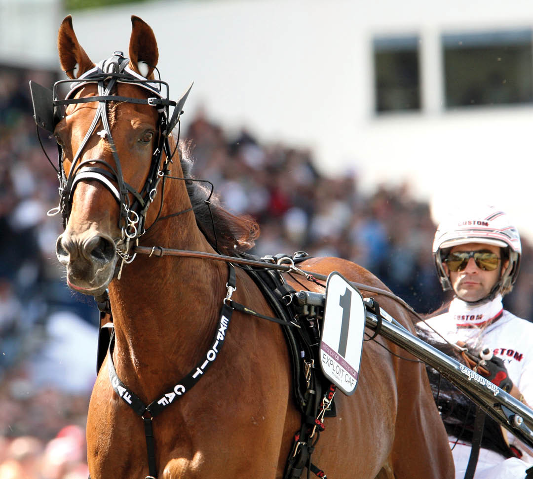 Foto: Mia T rnberg/Ronden Solvalla 20080525 Exploit Caf och Jean Michel Bazire
