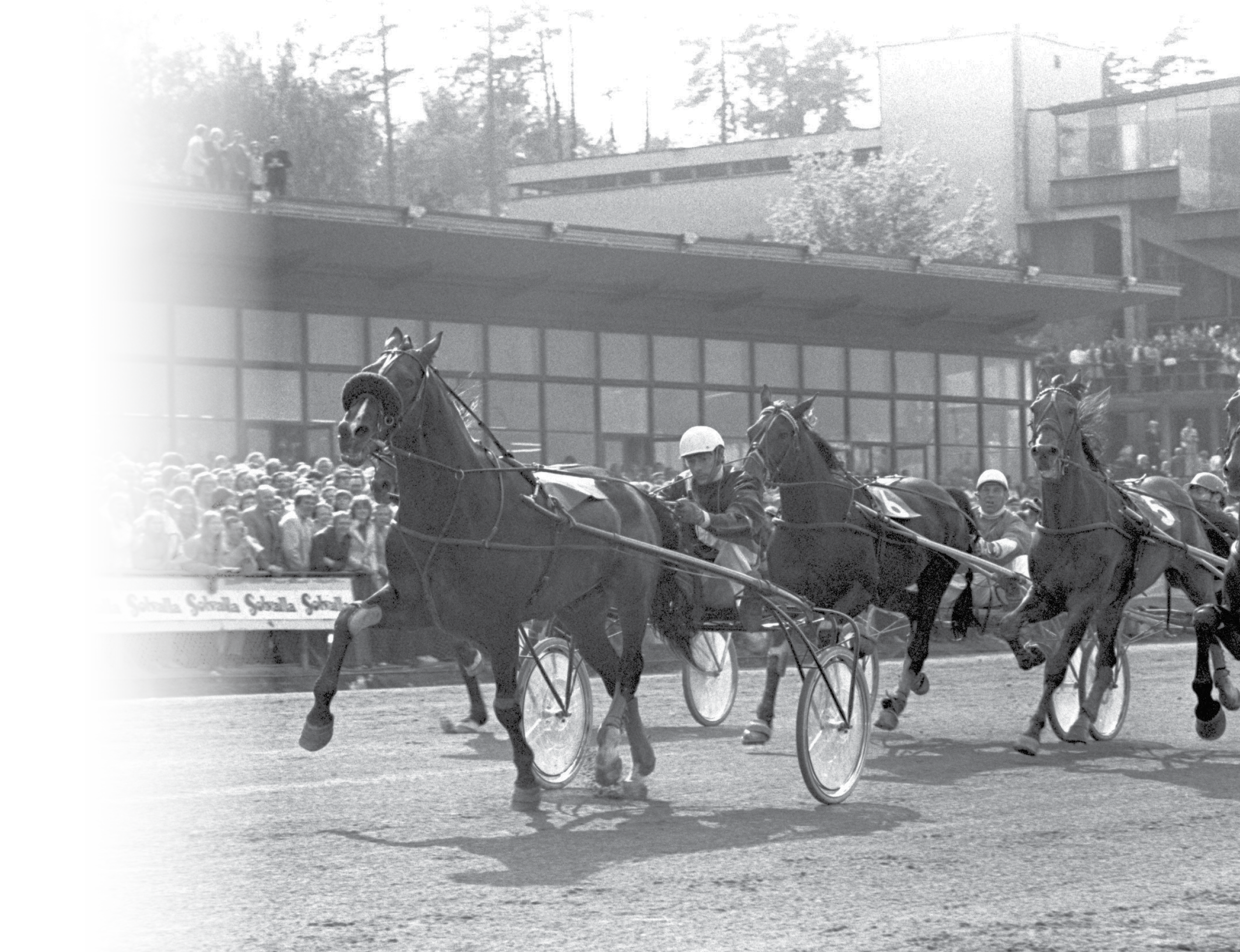 VINNER ELITLOPPET 1972.BILD GAMLA ARKIVET. Fotograf: Referens: Place: