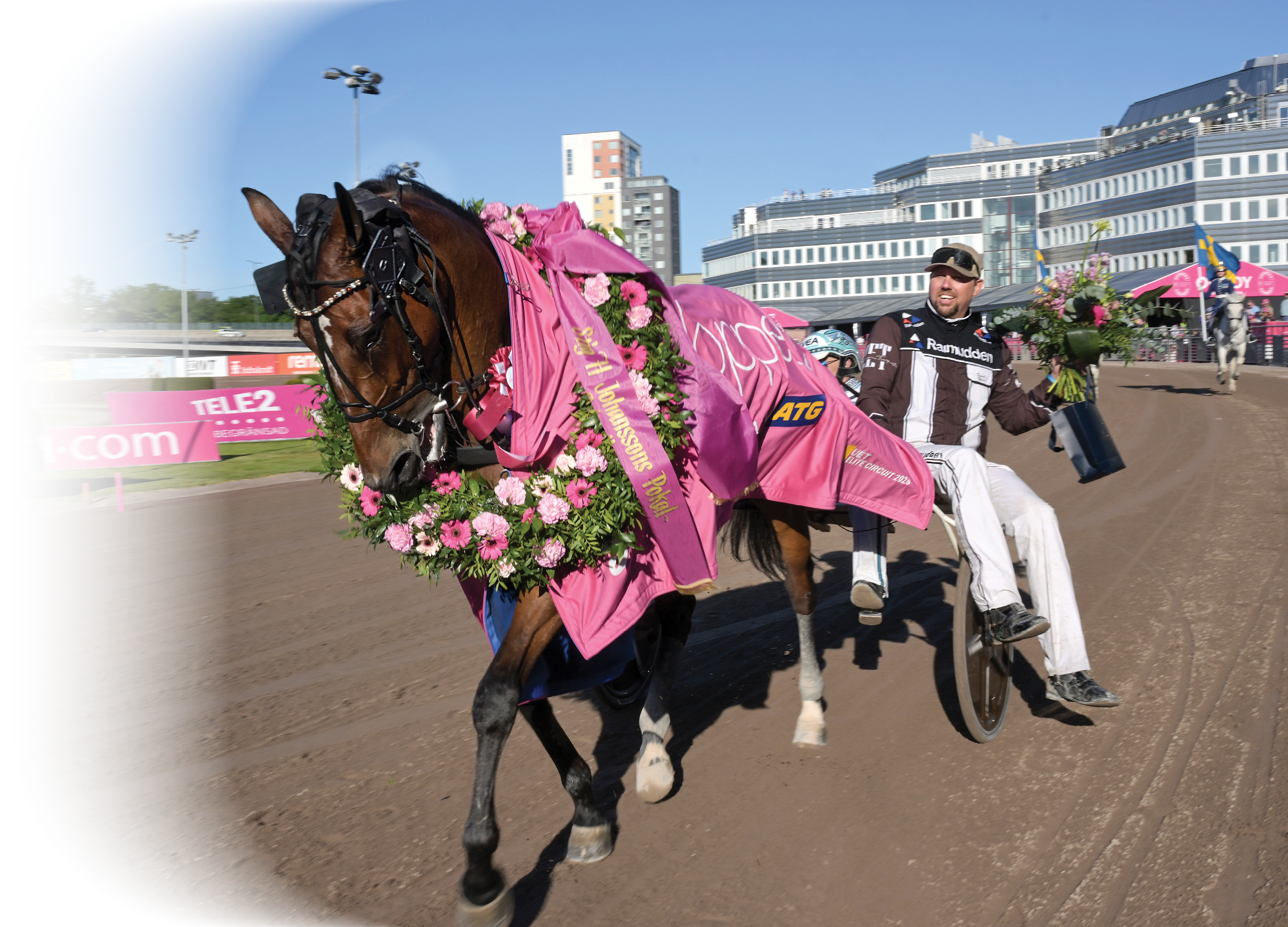 A horse adorned with a pink blanket and floral wreath is pulling a sulky with a person dressed in racing attire holding a bouquet on a racetrack with buildings in the background. Description generated by AI