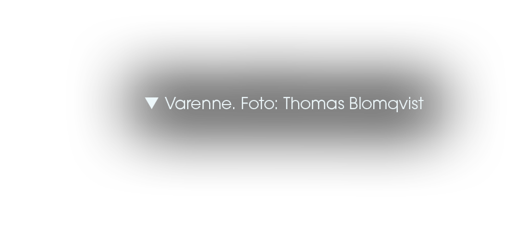  Varenne. Foto: Thomas Blomqvist
