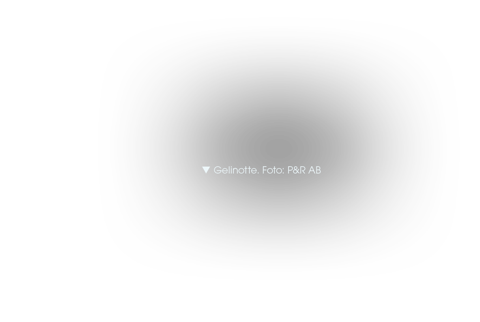  Gelinotte. Foto: P&R AB