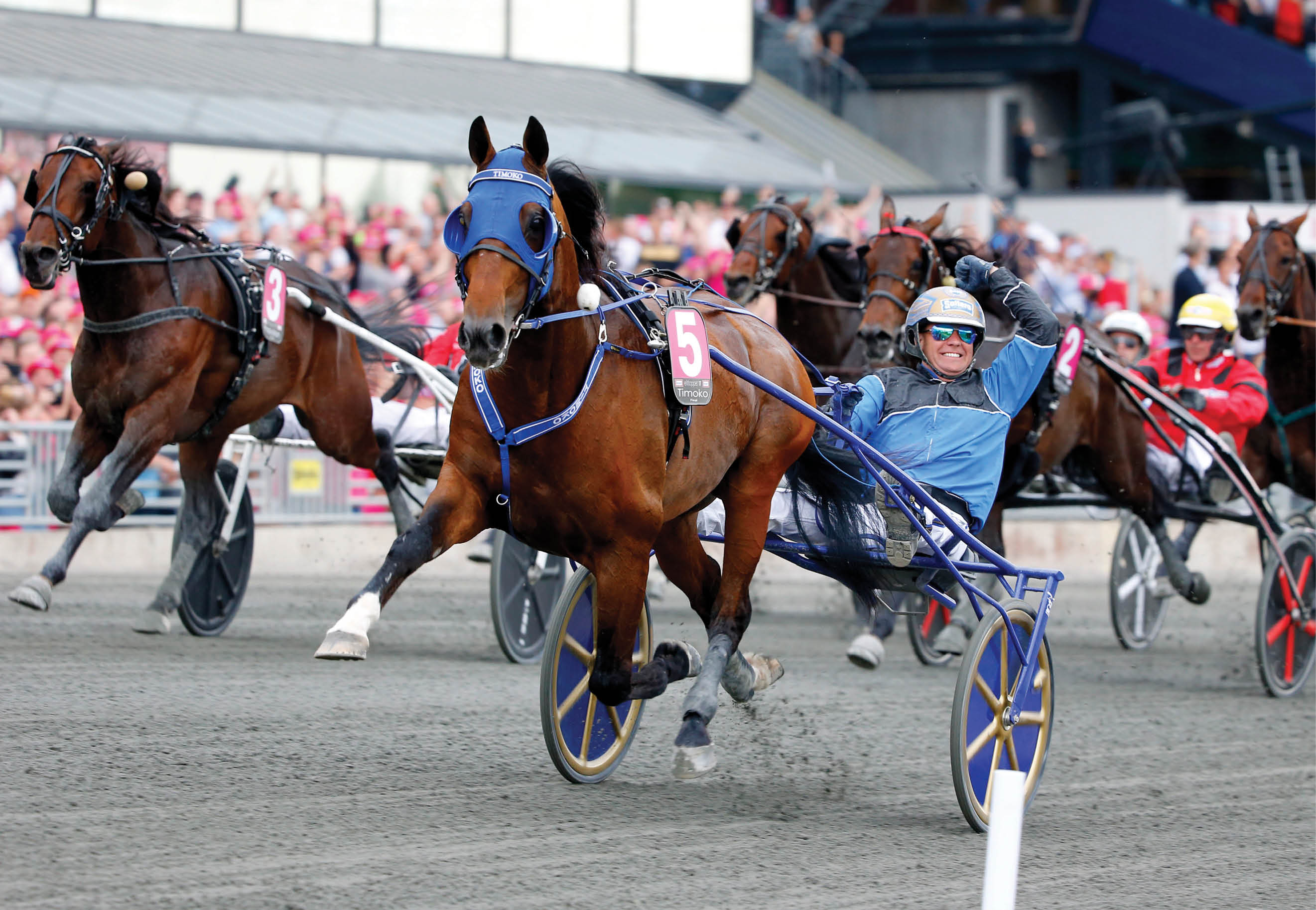 Foto: Micke Gustafsson/Ronden Solvalla 20170528    Timoko med Bj rn Goop  Elitloppet 2017, Final