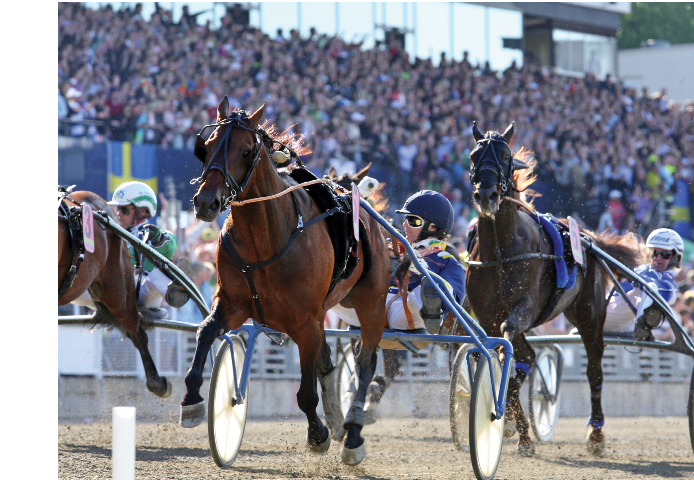 Foto: ANNA GERDMARKER/TR BILD Foto: Anna Persson/Ronden.Solvalla 20100530.Elitloppet Final ..Iceland med Johnny Takter