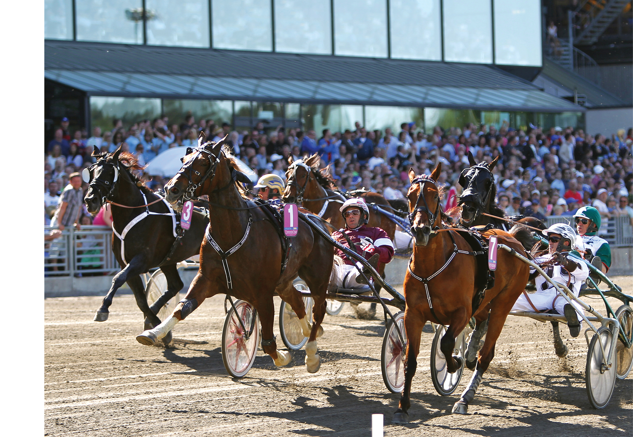 Foto: MARIA HOLM√ N/TR BILD Foto: Maria Holm√©n/Ronden.Solvalla 20120527.Elitloppet, f√∂rs√∂k 2..Commander Crowe med Christophe Marte