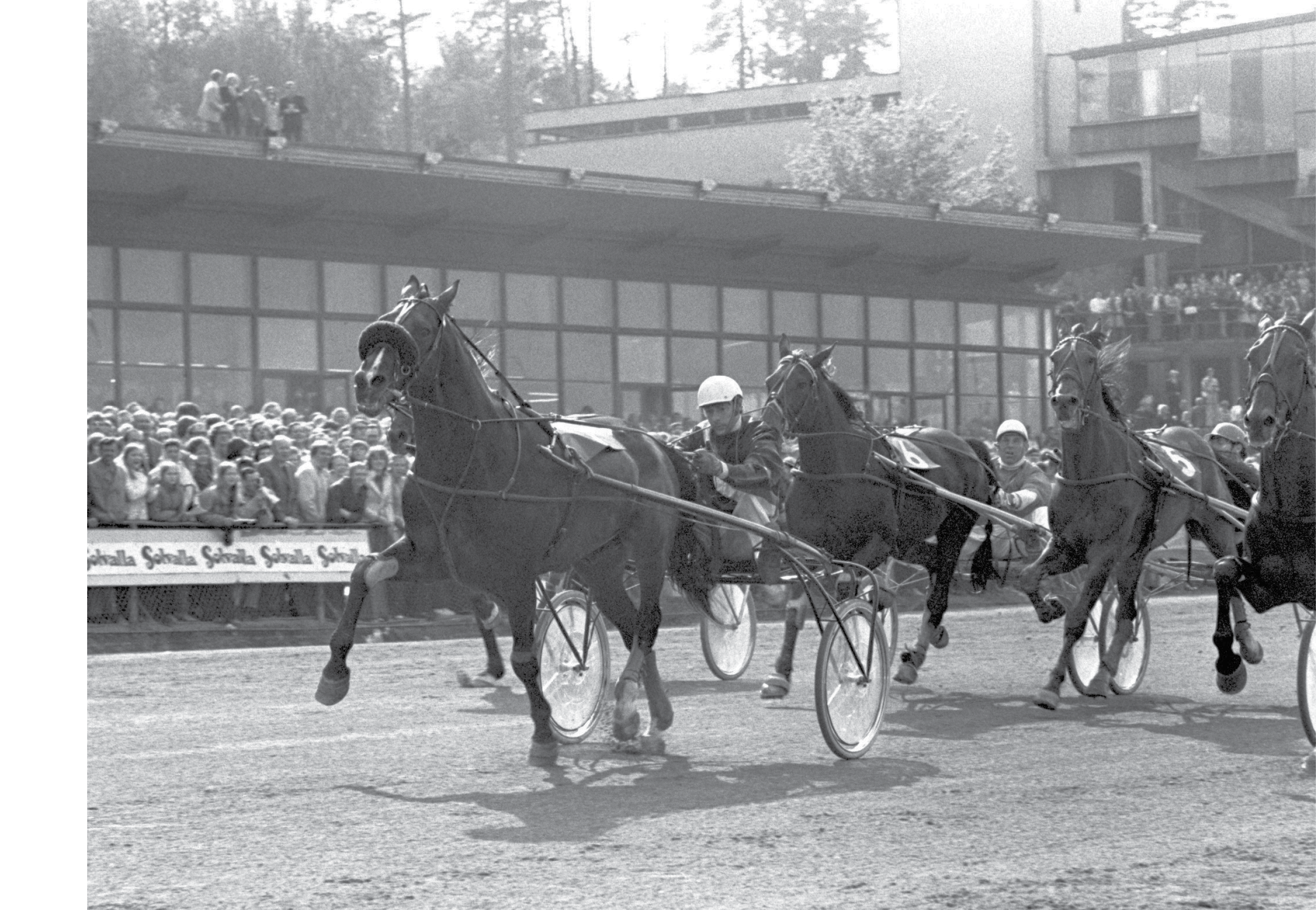 VINNER ELITLOPPET 1972.BILD GAMLA ARKIVET. Fotograf: Referens: Place: