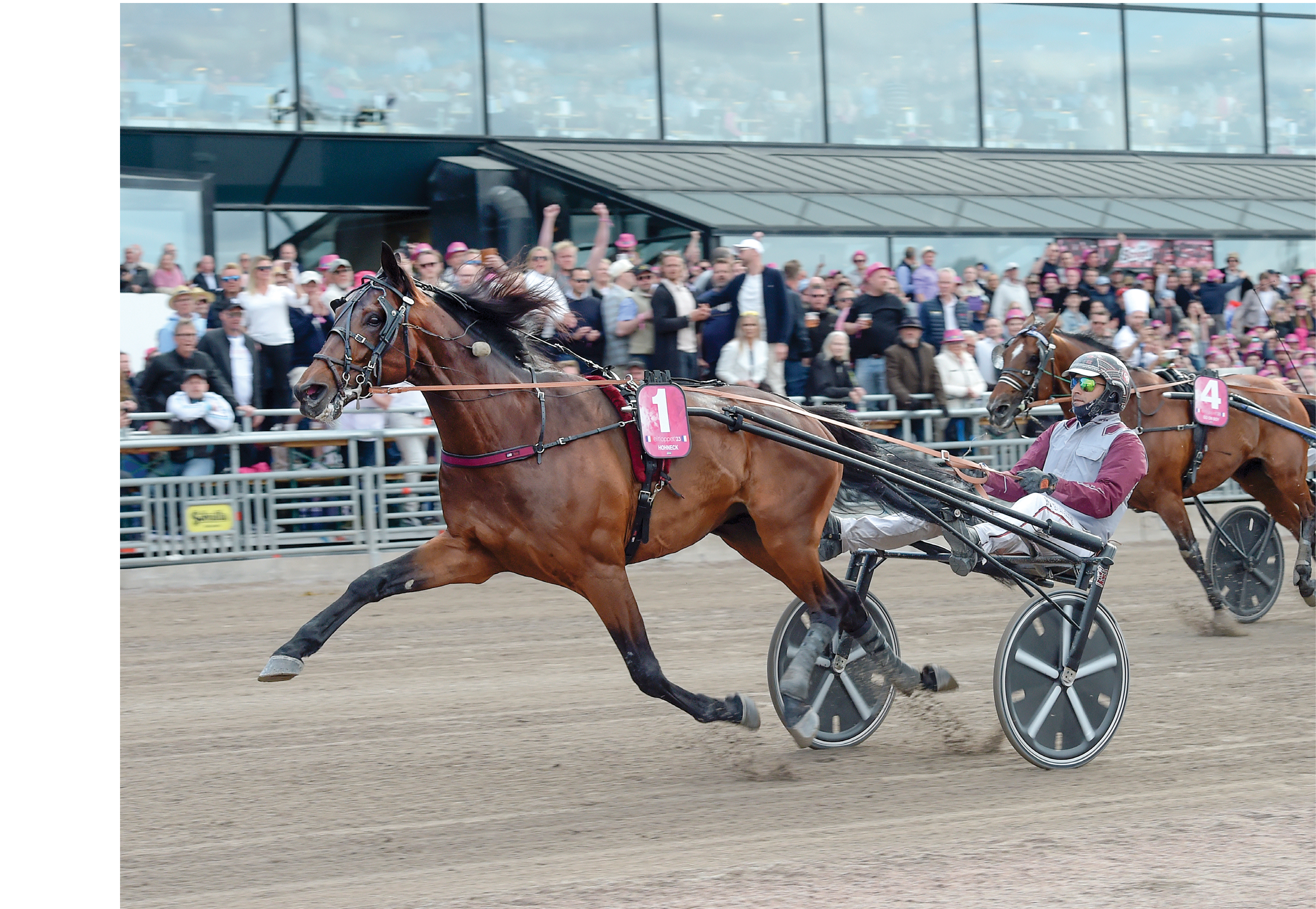 Elitloppet 2023 Hohneck - Gabriele Gelormini - Philippe Allaire  Foto: Lars Jakobsson
