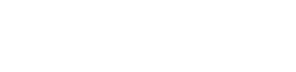 2010talET